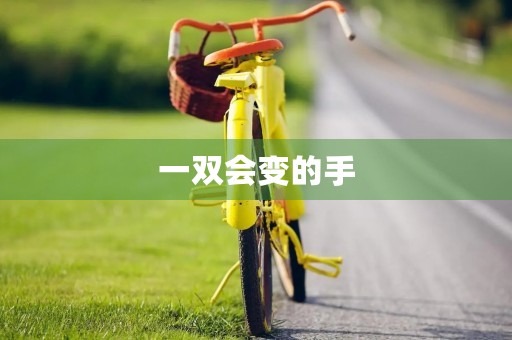 一双会变的手