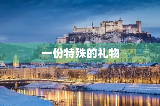 一份特殊的礼物 一份特殊的礼物