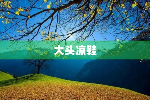 大头凉鞋 大头凉鞋