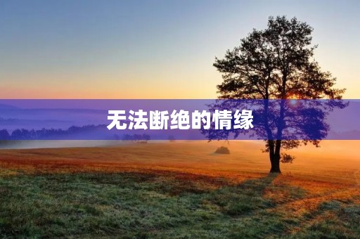 无法断绝的情缘 无法断绝的情缘