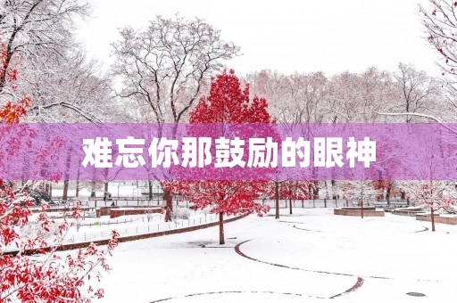 难忘你那鼓励的眼神 难忘你那鼓励的眼神