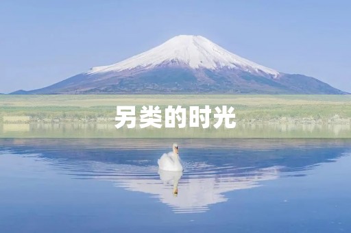 另类的时光