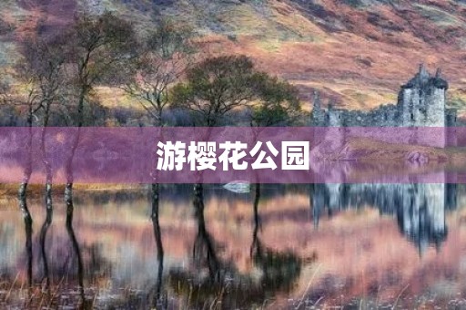 游樱花公园 游樱花公园