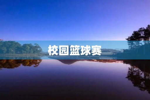 校园篮球赛 校园篮球赛