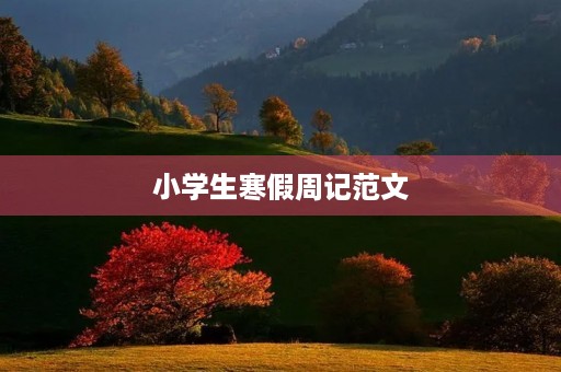 小学生寒假周记范文