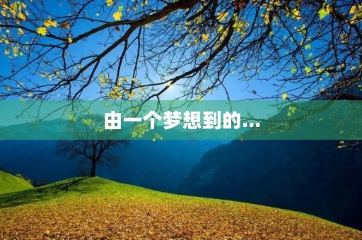 由一个梦想到的...