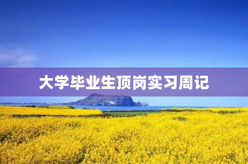 大学毕业生顶岗实习周记 大学毕业生顶岗实习周记