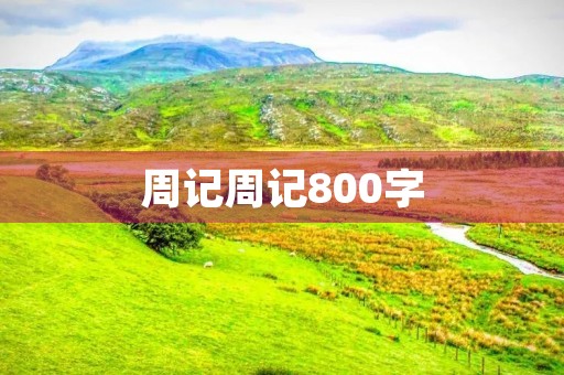 周记周记800字