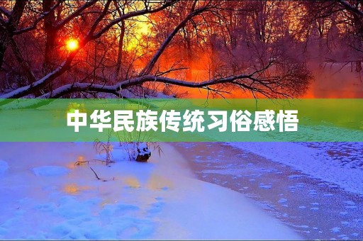 中华民族传统习俗感悟