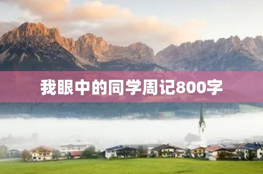 我眼中的同学周记800字 我眼中的同学周记800字