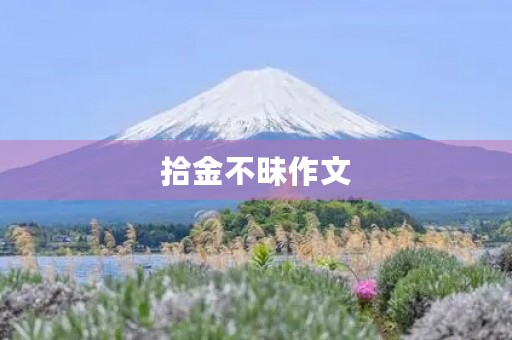 拾金不昧作文