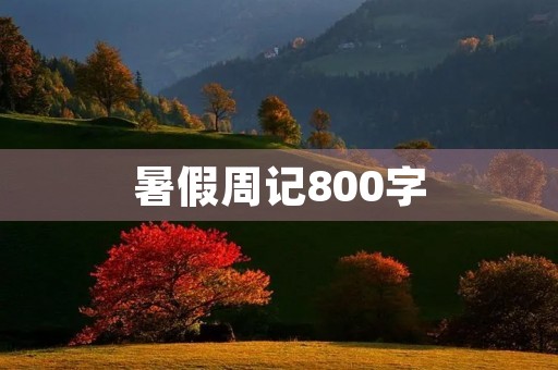 暑假周记800字 暑假周记800字