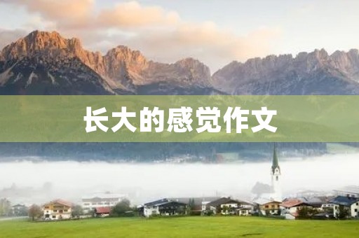 长大的感觉作文