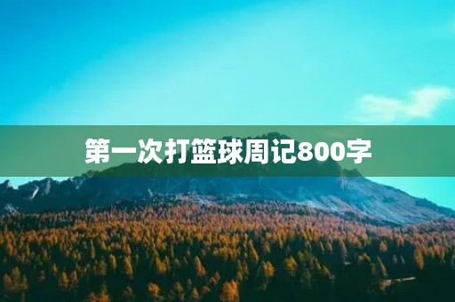 第一次打篮球周记800字 第一次打篮球周记800字