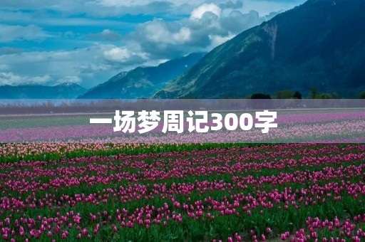 一场梦周记300字 一场梦周记300字
