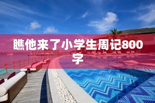 瞧他来了小学生周记800字 瞧他来了小学生周记800字