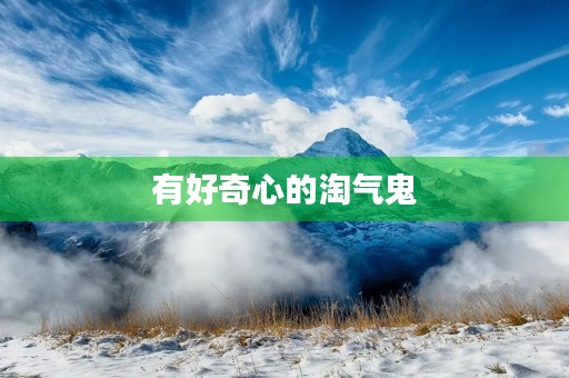 有好奇心的淘气鬼 有好奇心的淘气鬼
