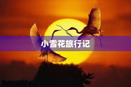 小雪花旅行记 小雪花旅行记