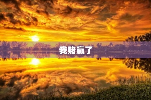 我赌赢了 我赌赢了