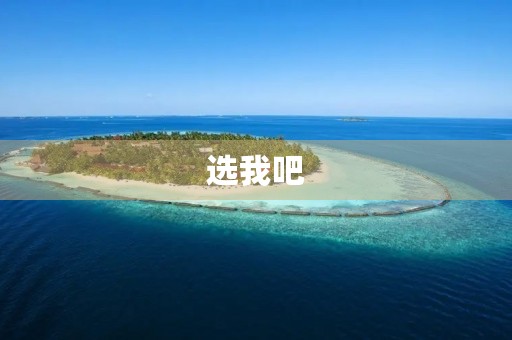 选我吧 选我吧
