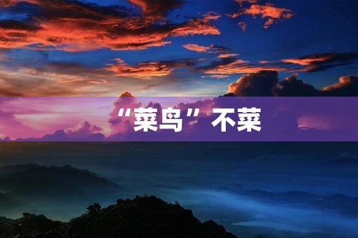 “菜鸟”不菜 “菜鸟”不菜