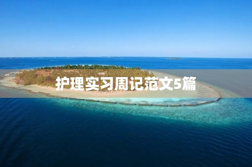 护理实习周记范文5篇