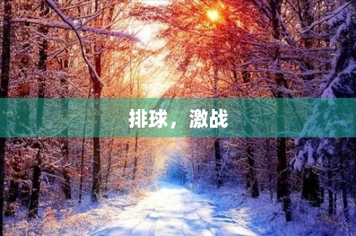 排球，激战