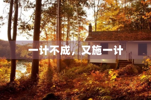 一计不成,又施一计 一计不成,又施一计