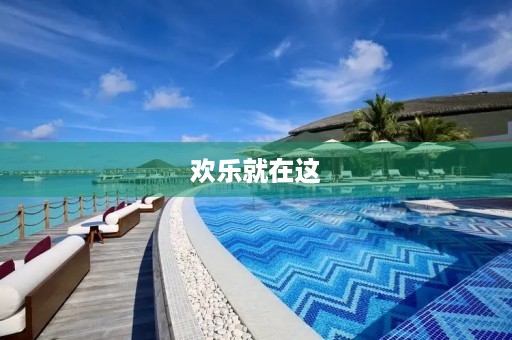 欢乐就在这 欢乐就在这