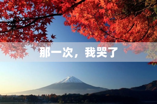 那一次,我哭了 那一次,我哭了