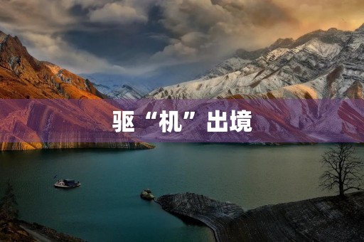驱“机”出境 驱“机”出境