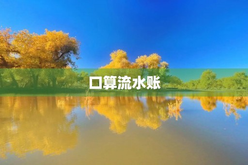 口算流水账 口算流水账