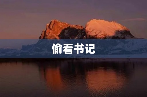 偷看书记 偷看书记