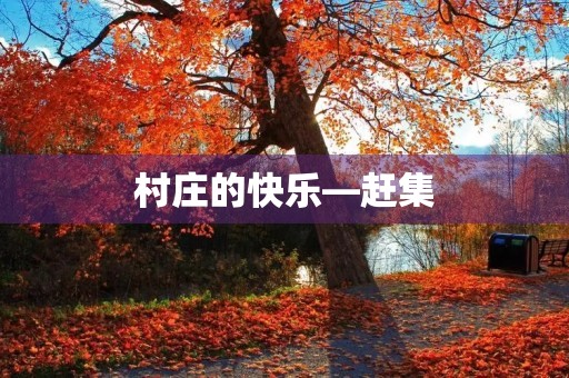 村庄的快乐—赶集 村庄的快乐—赶集