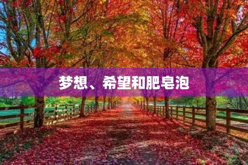 梦想、希望和肥皂泡 梦想、希望和肥皂泡