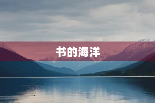 书的海洋 书的海洋
