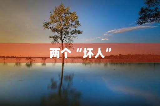 两个“坏人” 两个“坏人”