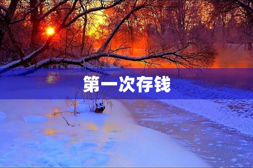 第一次存钱 第一次存钱