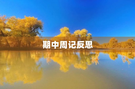 期中周记反思