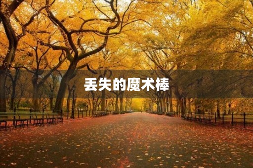 丢失的魔术棒 丢失的魔术棒