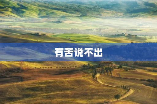 有苦说不出 有苦说不出