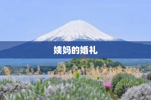 姨妈的婚礼 姨妈的婚礼