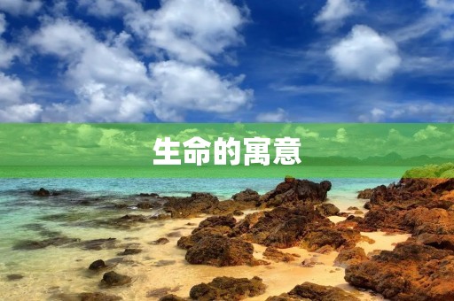 生命的寓意 生命的寓意