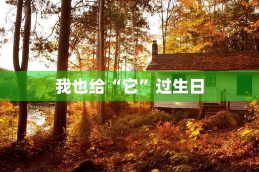 我也给“它”过生日 我也给“它”过生日
