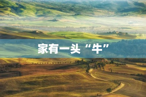 家有一头“牛” 家有一头“牛”