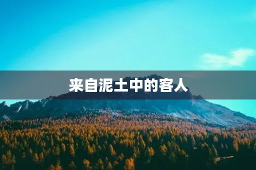 来自泥土中的客人 来自泥土中的客人