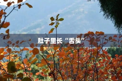 肚子里长“舌头” 肚子里长“舌头”