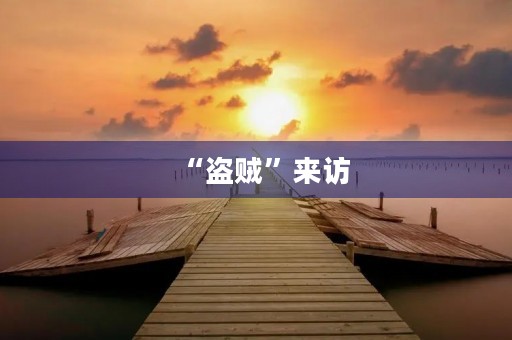 “盗贼”来访 “盗贼”来访