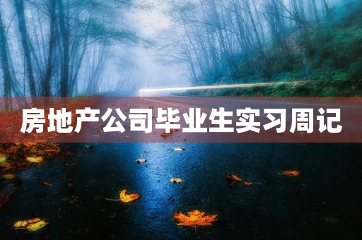 房地产公司毕业生实习周记