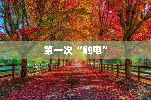 第一次“触电” 第一次“触电”